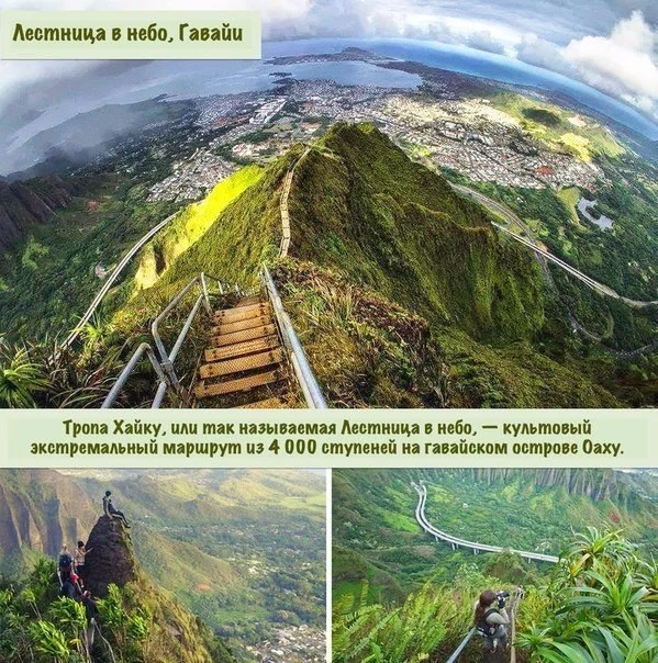 Гаваи.webp