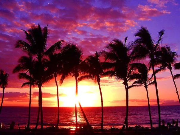 гавайи закат.webp