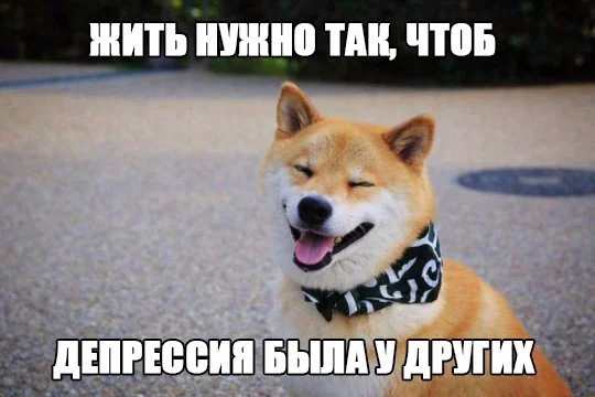 GBqI1sz_JAU.webp