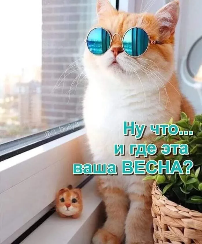 где весна.webp