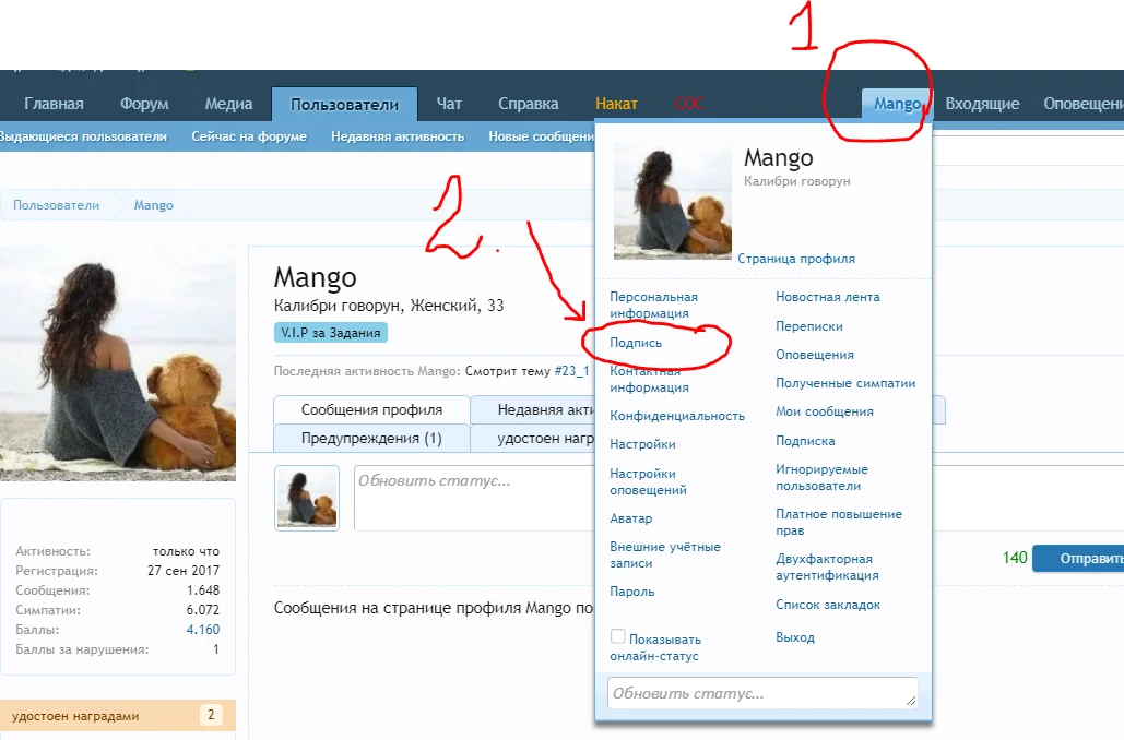 где вставлять подпись.webp