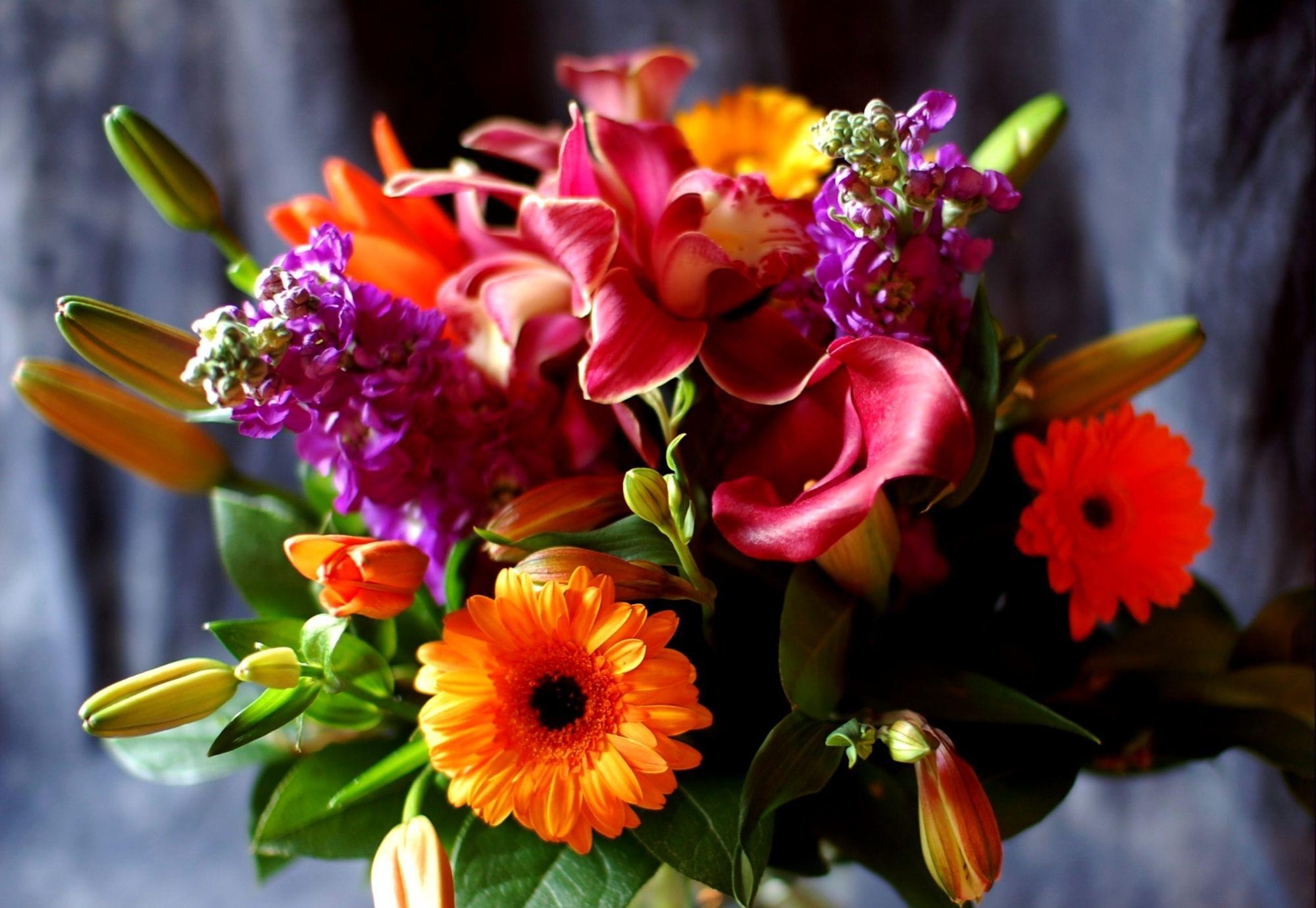 gerbera-calla-lilies-lily-flowers-bouquet-decoration-close-up-1082339.jpg