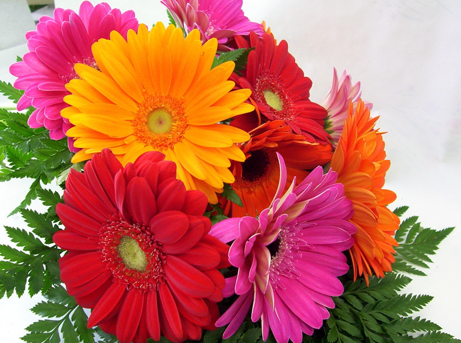 gerbera_flower_bouquet_bright_fresh_herbs_27800_1500x1115.jpg