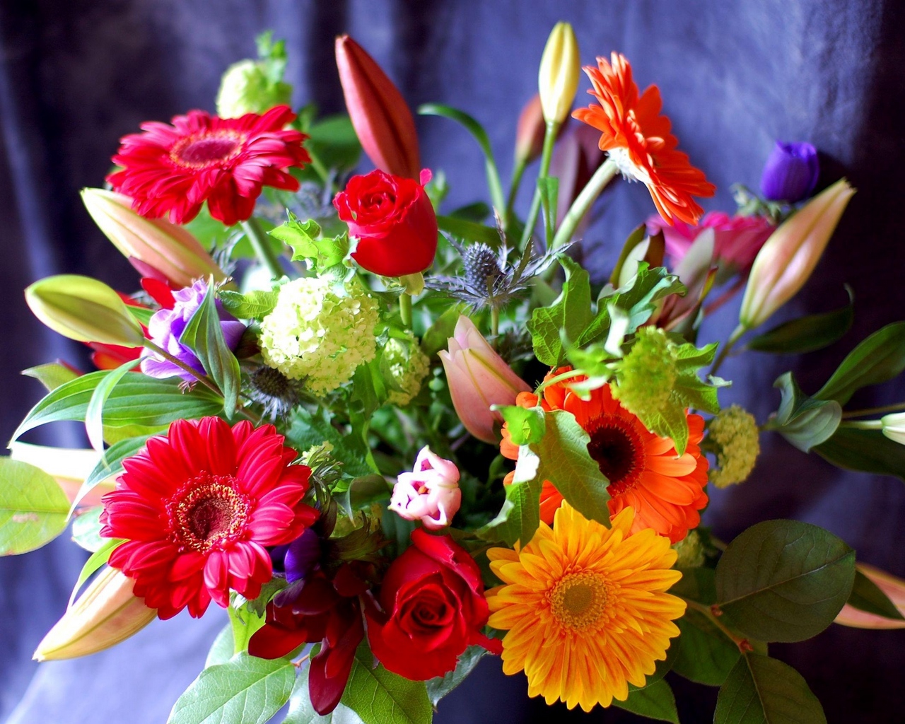 gerbera_roses_hydrangea_lilies_flowers_bouquet_decoration_elegant_35487_1280x1024.jpg