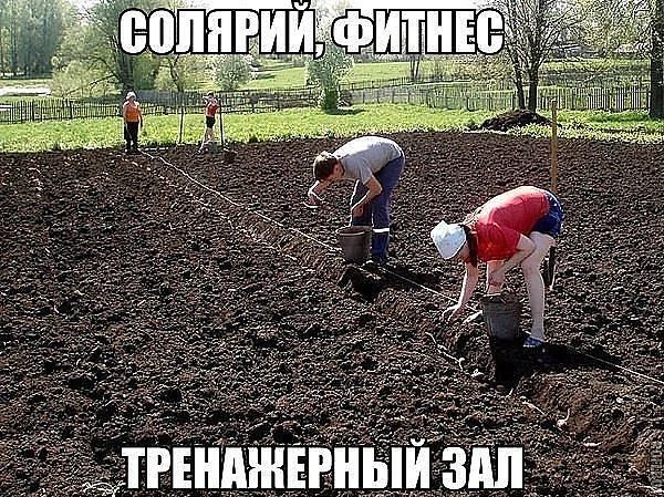 getImage (1).webp