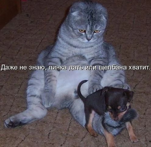 getImage (1).webp