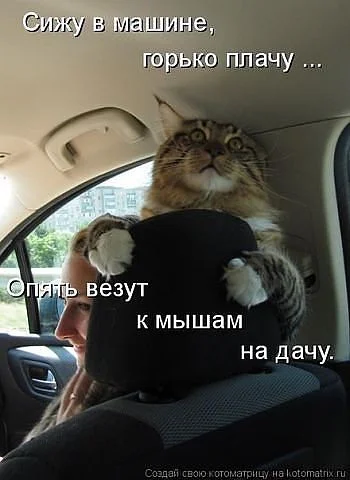 getImage (1).webp