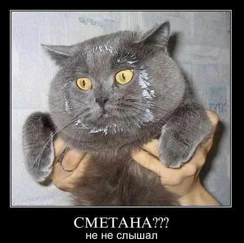 getImage (1).webp