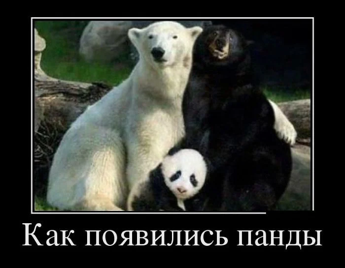 getImage (10).webp