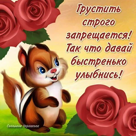 getImage (10).webp