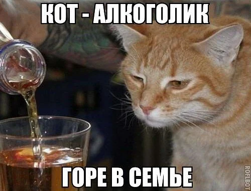 getImage (11).webp
