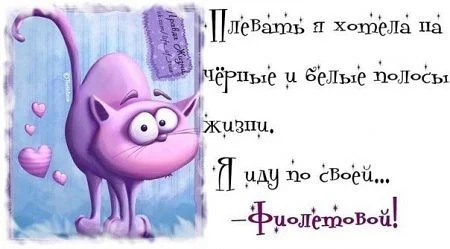 getImage (12).webp