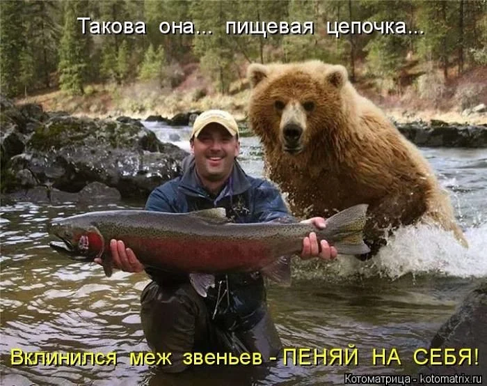getImage (13).webp