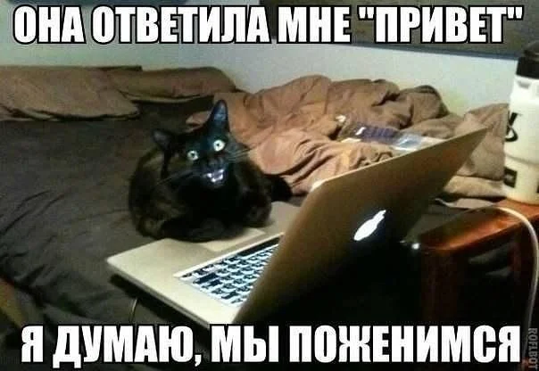 getImage (14).webp