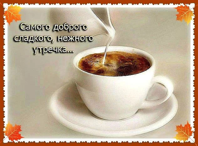 getImage (15).webp