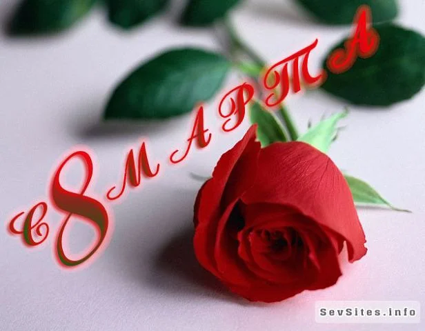 getImage (16).webp
