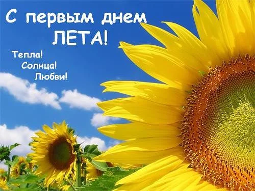 getImage (16).webp