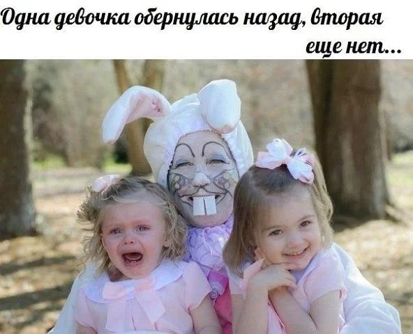 getImage (17).webp