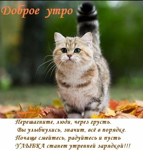 getImage (2).webp