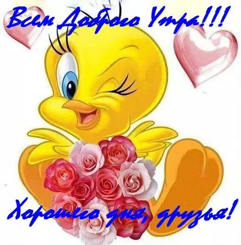 getImage (27).webp