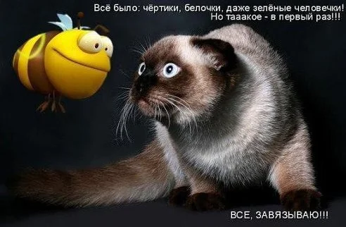 getImage (29).webp