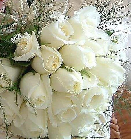getImage (31).webp