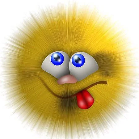getImage (35).webp