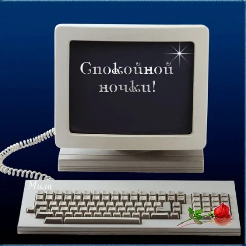 getImage (36).webp