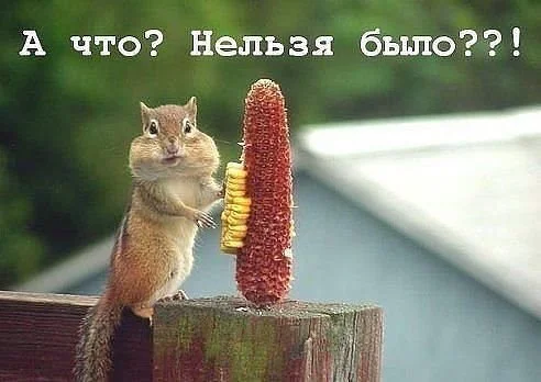 getImage-37.webp