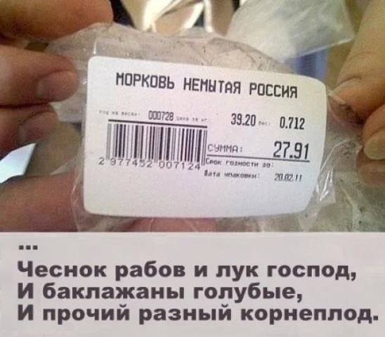 getImage (4).webp