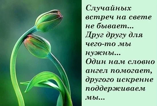 getImage (4).webp