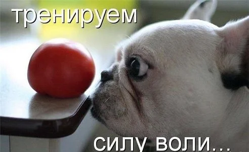 getImage (4).webp