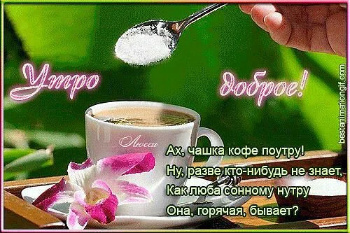 getImage (42).webp