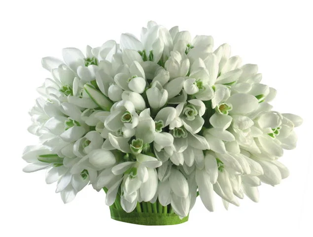 getImage (43).webp