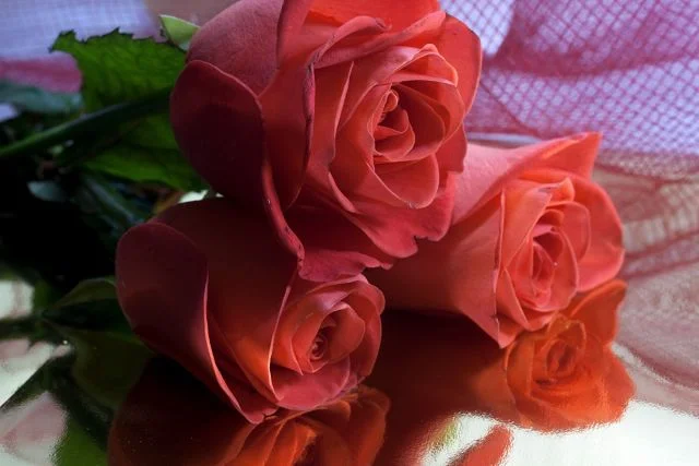 getImage (43).webp