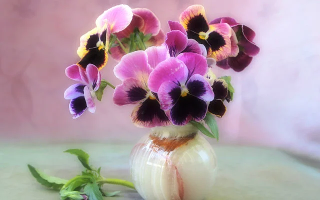 getImage (45).webp