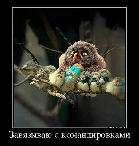 getImage (5).webp