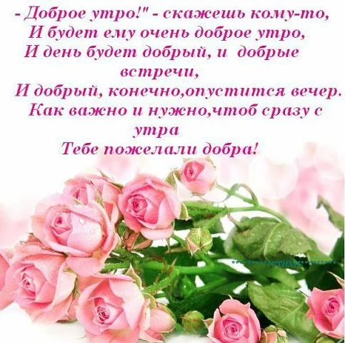 getImage (5).webp