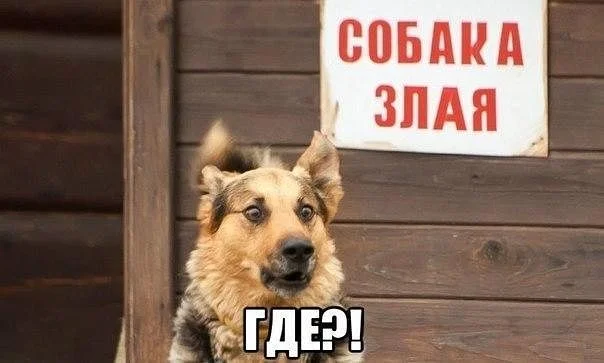 getImage (6).webp