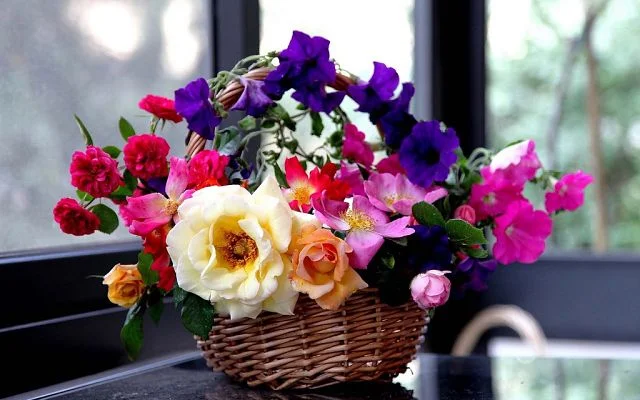 getImage (7).webp
