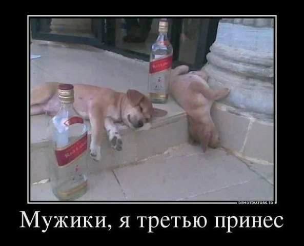 getImage (8).webp