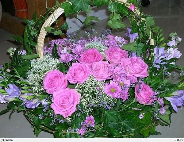 getImage (89).webp