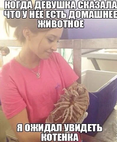 getImage (9).webp