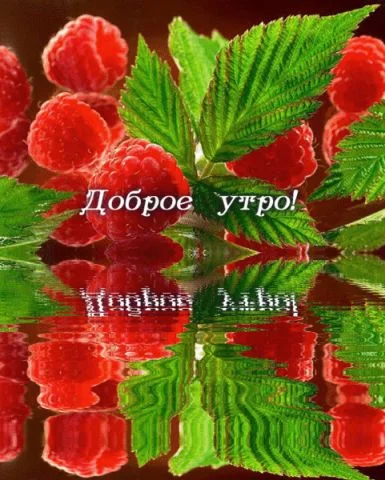 getImage (9).webp