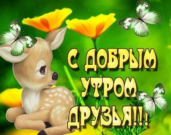 getImage (9).webp
