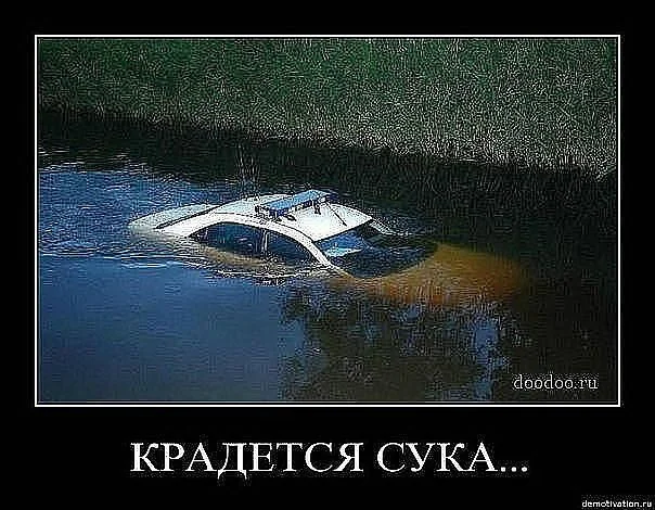 getImage.jpeg  крадётся.webp