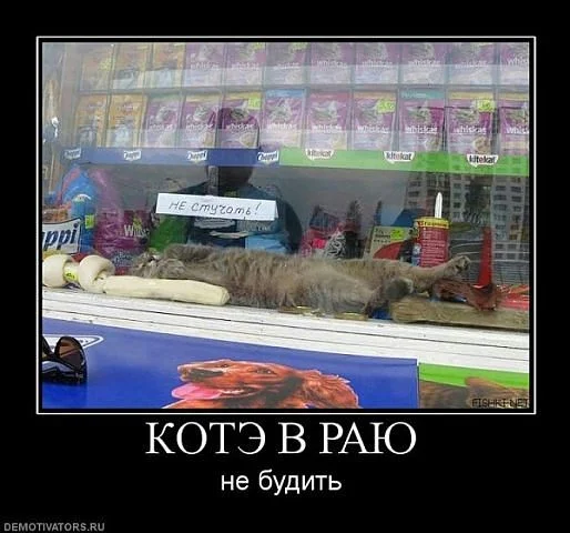 getImage.webp
