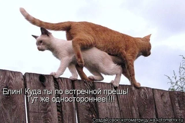 getImage.webp