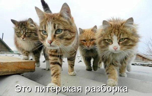 getImage.webp