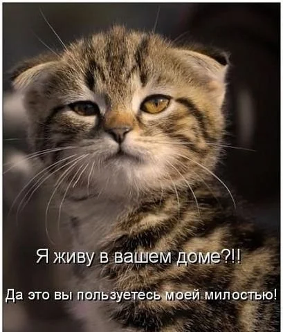 getImage2.webp